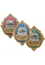 Engine driver of Ukrainian Railway Service medal