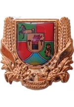 'Lugansk region arms' badge