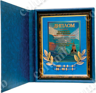 'The best accountant of the Russian Federation of 2003' diploma