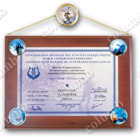 'Certified swimmer-diver' diploma