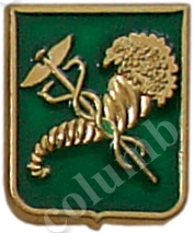 'Kharkiv arms' badge