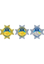 Badges "For Merits " І, ІІ, ІІІ grade